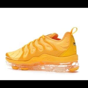 Nike Vapor Max Plus